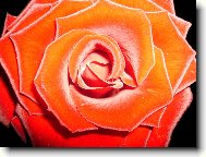 Puzzle on-line